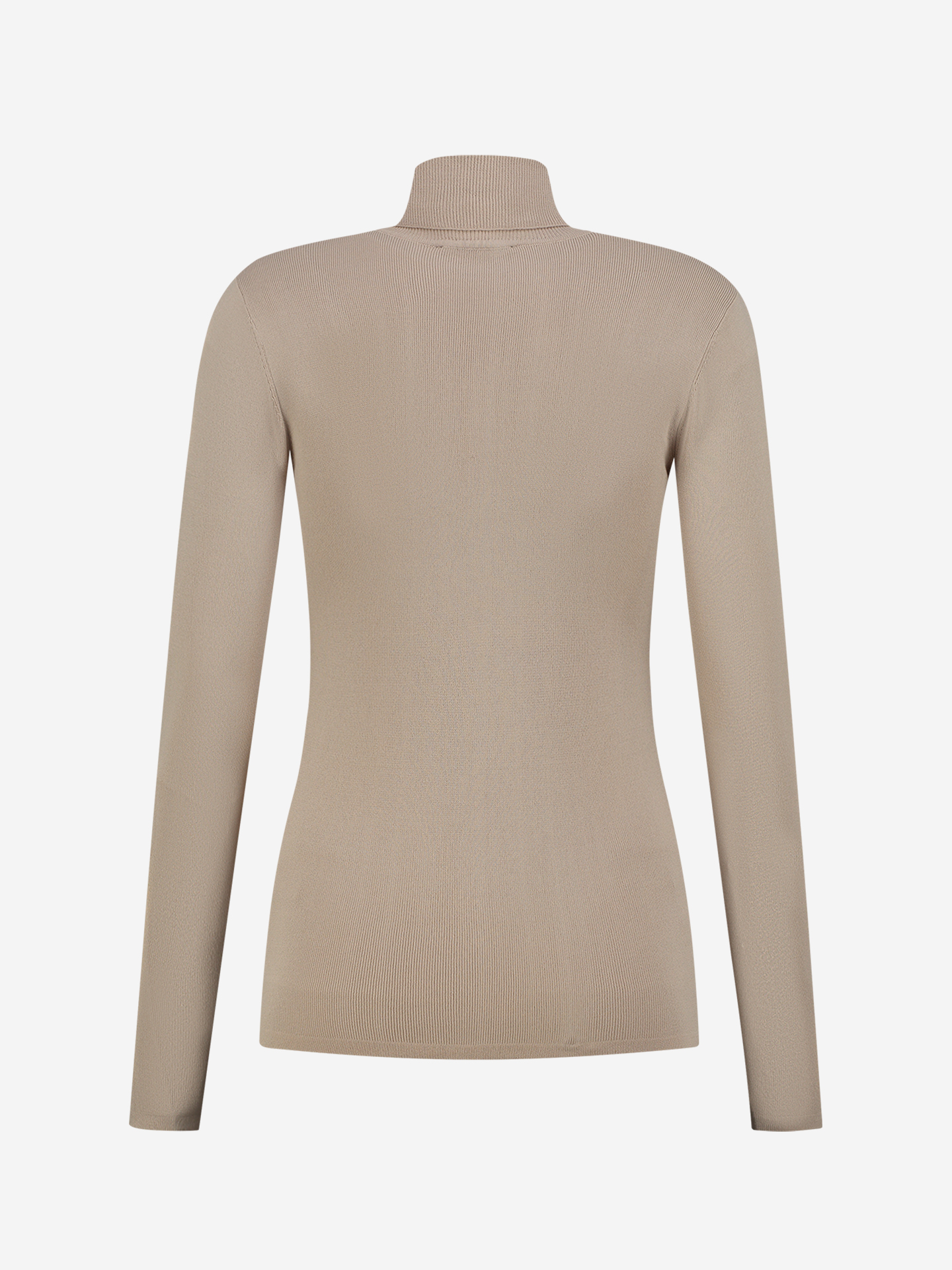 Fitted top with turtle neck